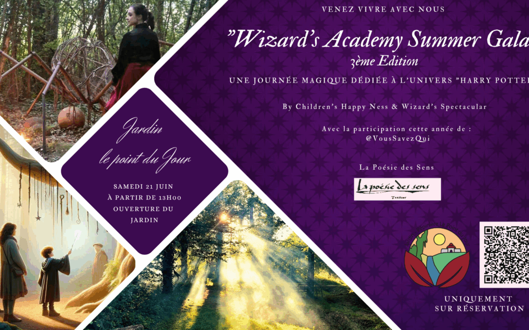 Wizard’ Academy Summer Gala