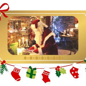 Billets d'entrée "Les Fééries de Noël" 2025